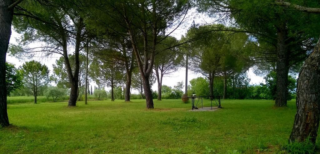 Agriturismo Podere Caggiolo - Swimming Pool & Air Conditioning Marciano della Chiana Exteriér fotografie